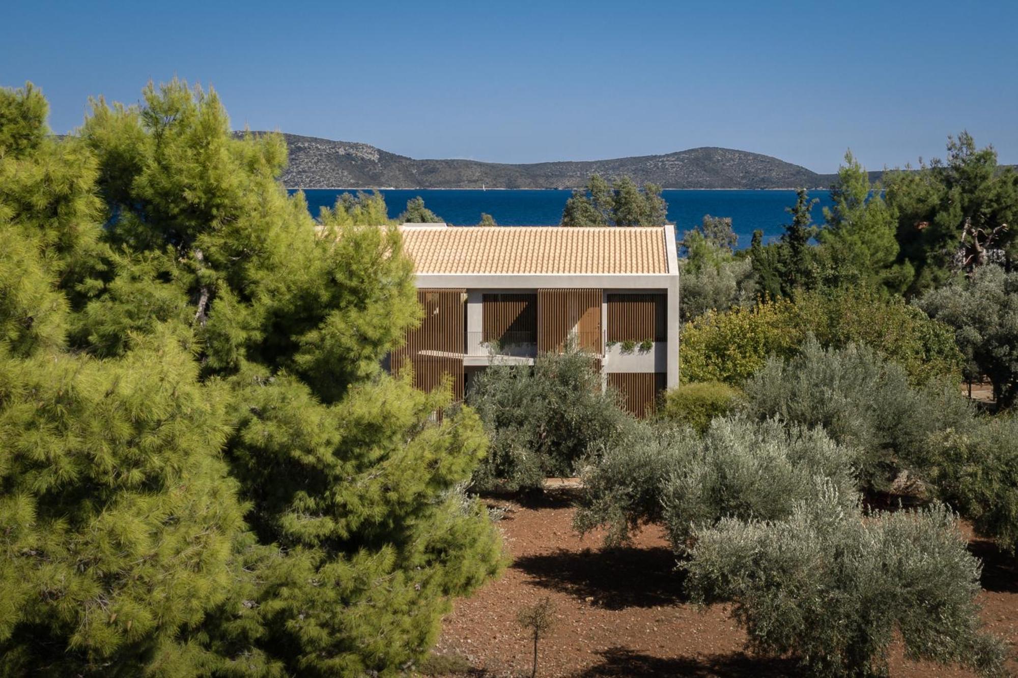 Steni Vala Alonissos Ilya Botanic Suites מראה חיצוני תמונה